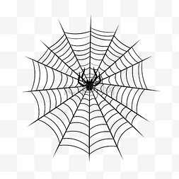 孤立的蜘蛛网涂鸦