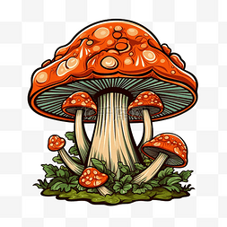老烂熟蘑菇的图形图像
