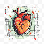 心跳剪贴画健康教育医学插画医学科学心脏卡通 向量