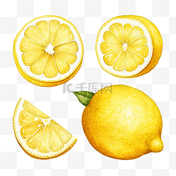 柠檬剪贴画图片_水彩柠檬片剪贴画