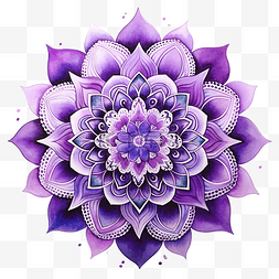 紫色曼陀罗绘图