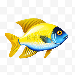 现实的鱼蓝色和黄色