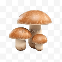 3d 渲染三个蘑菇隔离