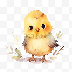 春天可爱的小鸡动物水彩画