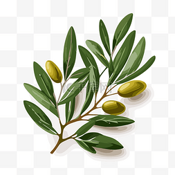 橄欖葉 向量