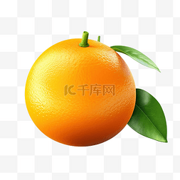 新鲜柑橘图片_甜多汁美味天然生态产品橙子