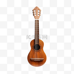 古典乐器文化图片_印度乐器吉他