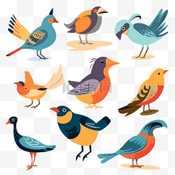 彩色鸟类图片_鸟类剪贴画 各种带有羽毛和其他
