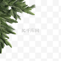 灰色混凝土表面上的绿色圣诞树枝