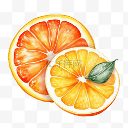 橘子色图片_橘子和柠檬楔水彩插图