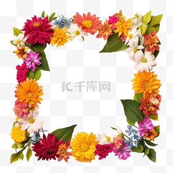 植物花卉装饰框图片_花卉装饰框