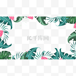 彩色花卉边框图片_热带树叶季节边框