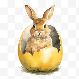 黄色鸡蛋上的兔子水彩