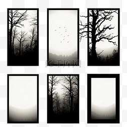 黄昏的森林图片_森林中的审美框架黄昏自然暗树自