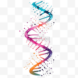 基因和细胞图片_最小风格的 DNA 和基因插图