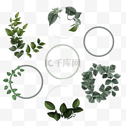 格形图片_用植物叶子或小心形装饰的一组框