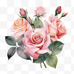 粉色背景春天图片_水彩玫瑰花束
