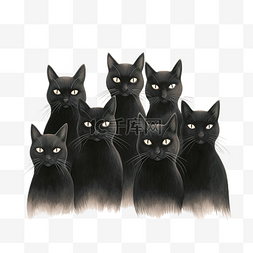 黑猫蜡笔插画