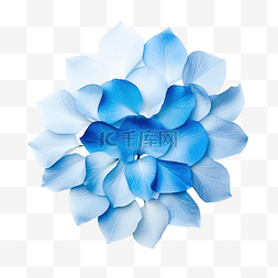 美丽的渐变背景图片_美丽的蓝色花瓣渐变