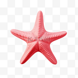贝壳bang图片_可爱的粉红色海星