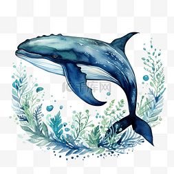 鲸鱼曼陀罗水彩画
