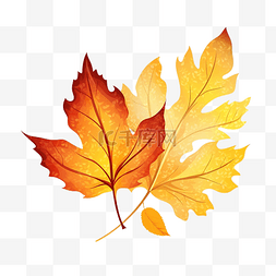 离开图片_秋天的树叶的插图
