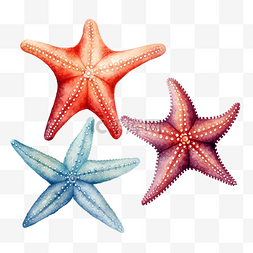 海星水彩海洋动物剪贴画