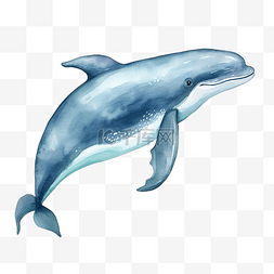 水彩鲸鱼剪贴画