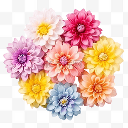 可爱的七彩花朵
