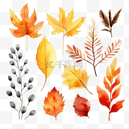 秋天的落树叶图片_秋天的水彩元素