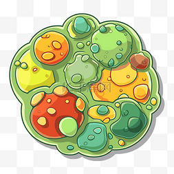 彩色卡通植物细胞插画 向量