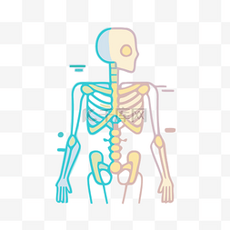 肌肉设计矢量图片_骨骼骨架矢量png