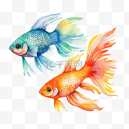 鱼抽象图片_水彩鱼图