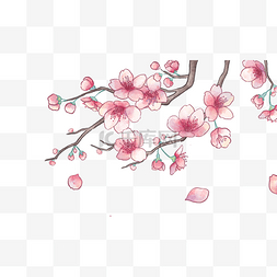粉色花瓣飘落图片_春天樱花花枝花瓣季节