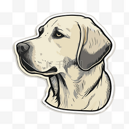 拉布拉多猎犬头贴纸插图剪贴画 