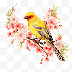 黄色的鸟坐在开着红色花朵的树枝
