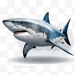 大白鲨背景图片_大白鲨 向量