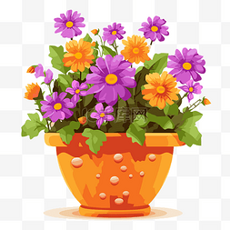 花盆裡的花