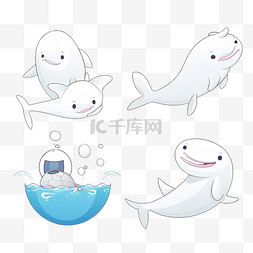潜水游泳图片_一组有趣的白鲸画着一幅玩条纹球