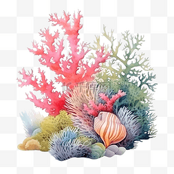 珊瑚色花图片_水彩珊瑚海