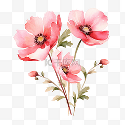 粉紅色水彩图片_粉紅色的水彩花