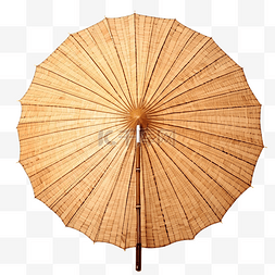 孤立的椰子叶制成的单沙滩伞阳伞