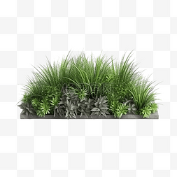 美丽花案图片_3D 渲染绿色野草场的模型图像