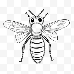 昆虫可爱蜜蜂线性绘图
