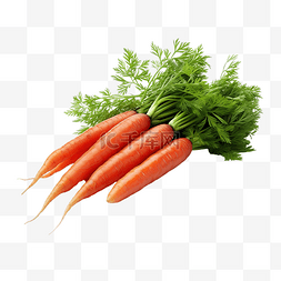多汁成熟的胡萝卜