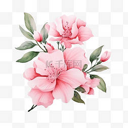 浪漫粉红色花朵图片_装饰元素的粉红色花朵水彩风格