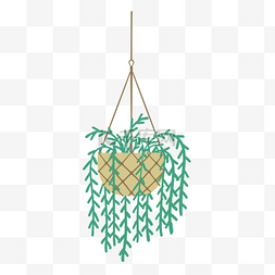 一盆绿色植物吊篮