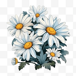 雏菊白花艺术花卉装饰插图，用于