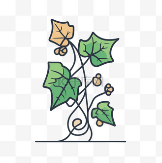 藤蔓的线条插图插画 向量