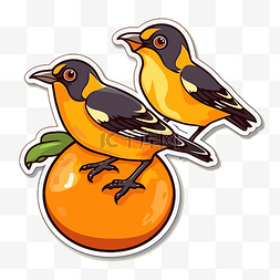 贴纸上的两只鸟坐在橘子上 向量